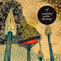 Mourning Golden Morning